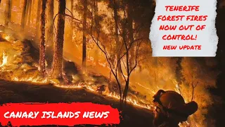 Tenerife News Update: “OUT OF CONTROL” worst fires for 40 years! Latest Information! Canary Islands