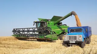 Гарний результат, збір врожаю пшениці 2021 р.
