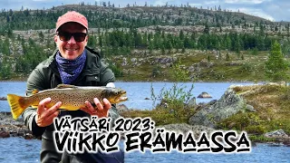 Vätsäri 2023: Pannurautua, mittataimenta ja... zombi.