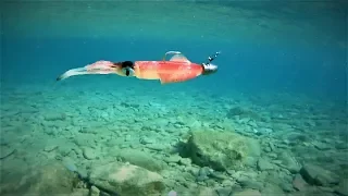 Savage Gear Lose Body Swim Squid Underwater Action!