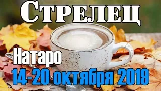 СТРЕЛЕЦ - таро прогноз 14-20 октября 2019 года НАТАРО.