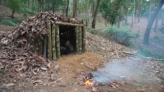 Survival instinct, Green Forest Building Life Wild Alone Building Secret House, Shelter In 30 Days