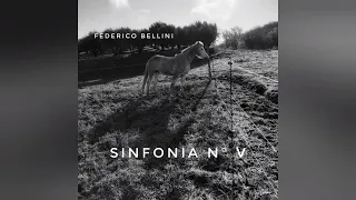Federico Bellini: "Sinfonia n° V"