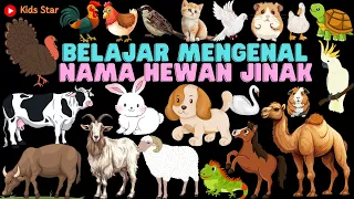 BELAJAR TEBAK NAMA BINATANG HEWAN JINAK / TAME ANIMALS LEARNING ANIMALS | BAHASA INDONESIA - INGGRIS