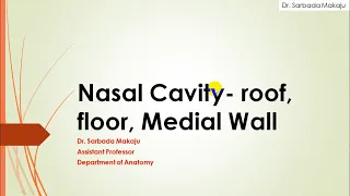 Nasal cavity - roof, floor, medial wall