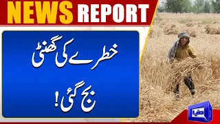 Big Decision Of Government Against Wheat Hoarders | Dunya News
