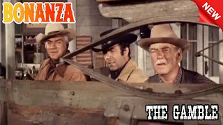 Bonanza - The Gamble - Best Western Cowboy HD Movie Full Episode 2023