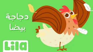 Djeje Badit Bayda (Chicken Song) 🐔 Lila TV