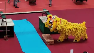 首屆東南亞舞獅錦標賽 1st Southeast Asia Lion Dance Championship - Freestyle - 菲律賓 Philippines