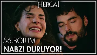 Miran kaza yapıyor! - Hercai 56. Bölüm