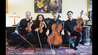Dvorak String Quartet no.5 in F Minor opus 9 complete