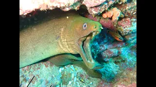 Las Catalinas - SCUBA diving in Costa Rica