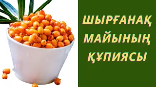 Облепиха майынын пайдасы/ Шырғанақ