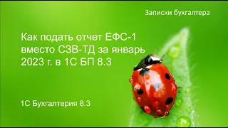 Как подать новый отчет ЕФС-1 вместо СЗВ-ТД в 1С БП 8.3