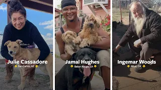 Vote for the More Than a Pet Community Hero!