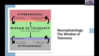 Learning Under Stress | Neurophysiology: The Window of Tolerance