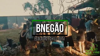 ❌ BNegão - Ecologic 27º Edição ❌