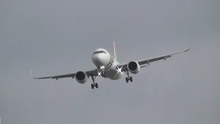 Windy Arrivals at London Heathrow Airport, LHR | Storm Barra | 08-12-21