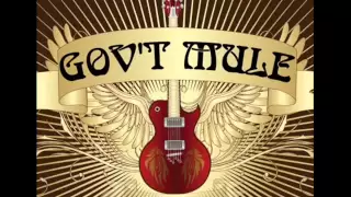 Govt Mule- Endless Parade.