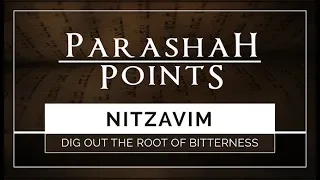 Parashah Points: Nitzavim – Dig Out the Root of Bitterness - 119 Ministries