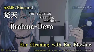 【ASMR/Binaural/No Talking】両耳の耳かき、耳ふーふーで安らかな眠りを     【吐息/Ear Cleaning with Ear Blowing】【睡眠・作業用】