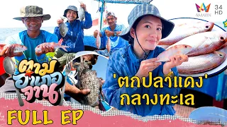 Sea Fishing with cuttlefish bait, Takua Pa, Phang-nga