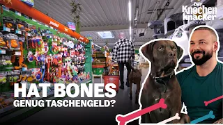 TRINKGELD für den Hund? 😱​ | Der Knochenknacker – Tierisch verrenkt🦴​