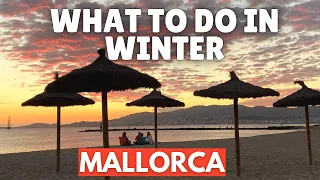 What to do in Mallorca in the Winter