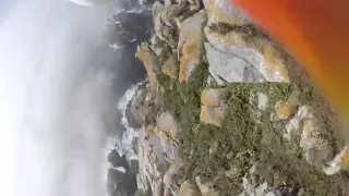 Чайка увела GoPro