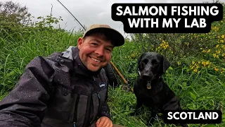 Salmon Fishing A River Tweed Tributary With My Lab