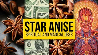 Star Anise: Spiritual and Magical Uses | Yeyeo Botanica