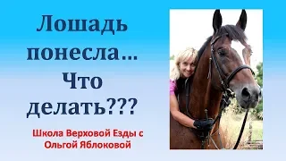 ЛОШАДЬ ПОНЕСЛА...ЧТО ДЕЛАТЬ???