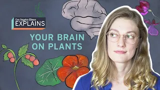 Your brain on plants: why gardens are good for you