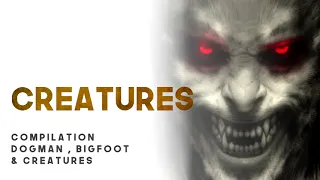 20 ENCOUNTERS WITH DOGMAN, BIGFOOT & CREATURES - What Lurks Above