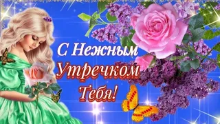 🌼С Добрым утром! Обалденная песня для Тебя! 🌼Музыкальная открытка Доброе утро. 🌼