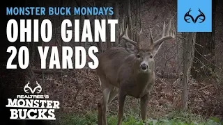 Giant Buck Hits SCRAPE at 20 YARDS | Monster Bucks Mondays