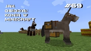 Minecraft Poradnik - Kon #33