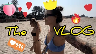 ГОАНСКИЕ БУДНИ! ОТКРЫЛИ ПЛЯЖНЫЙ СЕЗОН, СГОНЯЛИ НА ВЕЧЕРИНКУ! The VLOG!!!