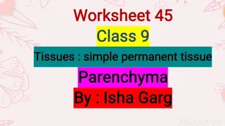 Worksheet 45 ll class 9 ll parenchyma tissue