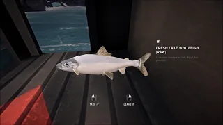 THE LONG DARK: Keeper's Pass Fishing