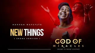 Hannah Mapepeta : Lyric video for New things are being declared  ( Shona Version one-mic-one-take )