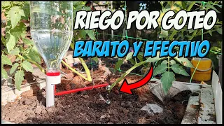 Cómo hacer un sistema de riego por goteo ecológico con una botella reciclada