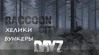 🔴DAYZ ►PVE ►ПРОЕКТ RACCOON CITY ►БОТЫ, МУТАНТЫ #10 🔴1440p 60fps🔴16+