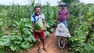 veja a agricultura familiar no sertão pernambucano uma palestra com seu Manoel Nazário e Maria .