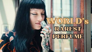 You’ve Never Seen Fragrance Like This!