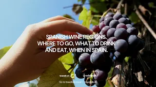 Important Spanish wine regions