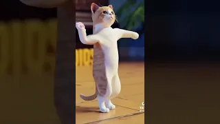 Patli Kamariya Mor Hai Hai | cat #dance #fypシ #trending