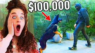 WE BOUGHT $100,000 DOG TO PROTECT OUR FAMILY