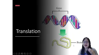Chapter 6.2a - Protein Synthesis (Transcription, RNA mod, Translation) | Cambridge A-Level 9700 Bio