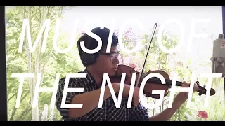 Music of the Night (Violin Cover)